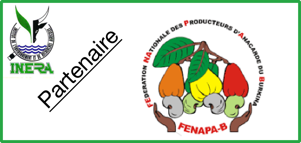 Logo 4