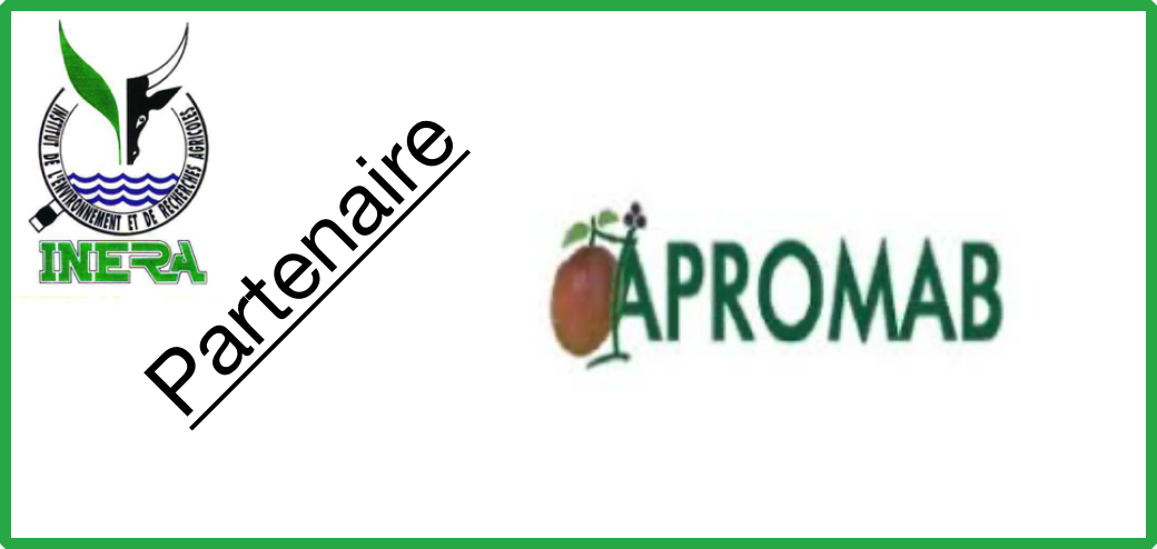 Logo 6