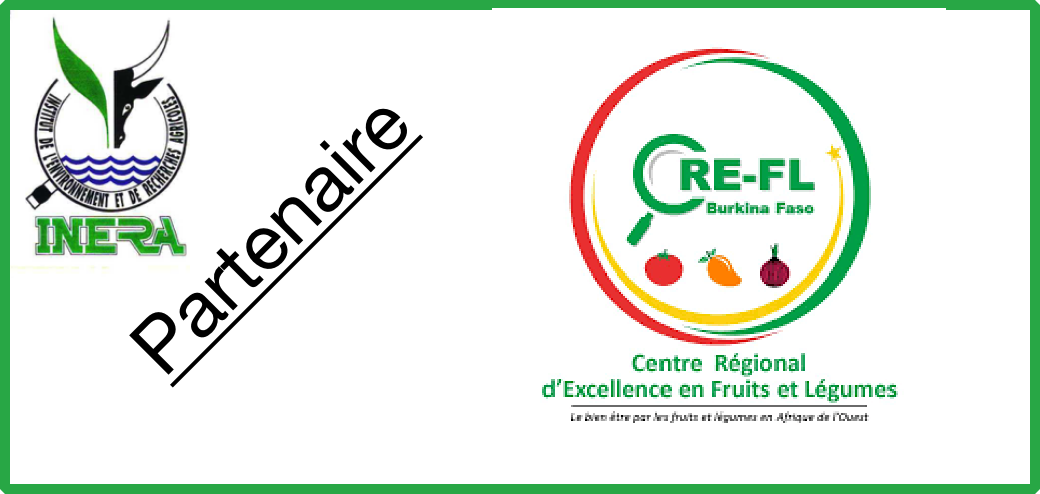 Logo 7